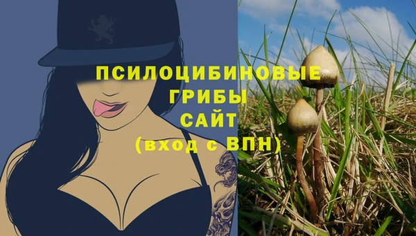 эйфоретик Абаза