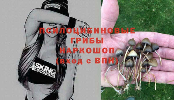 стаф Алексин