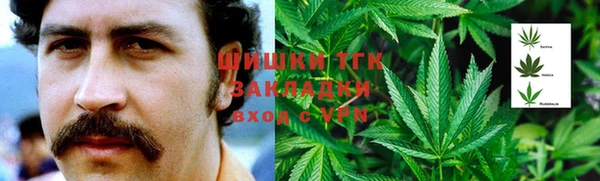 тгк Алзамай