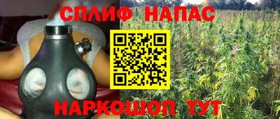 тгк Абинск