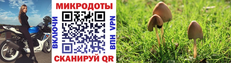 Псилоцибиновые грибы MAGIC MUSHROOMS  Анапа 