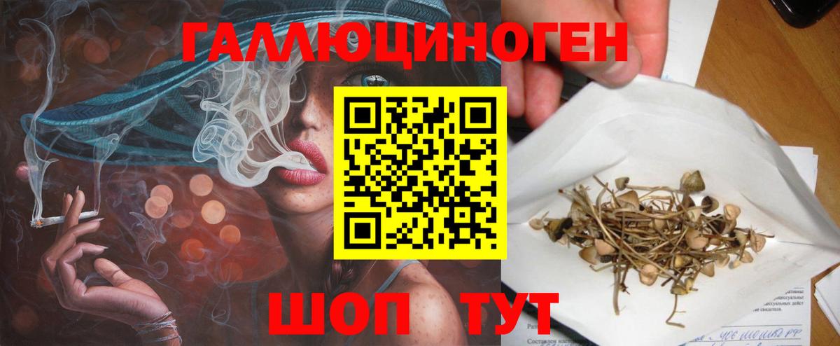 Псилоцибиновые грибы MAGIC MUSHROOMS  Галлюциногенные грибы Psilocybine cubensis  Вход с VPN  где можно купить   Анапа 